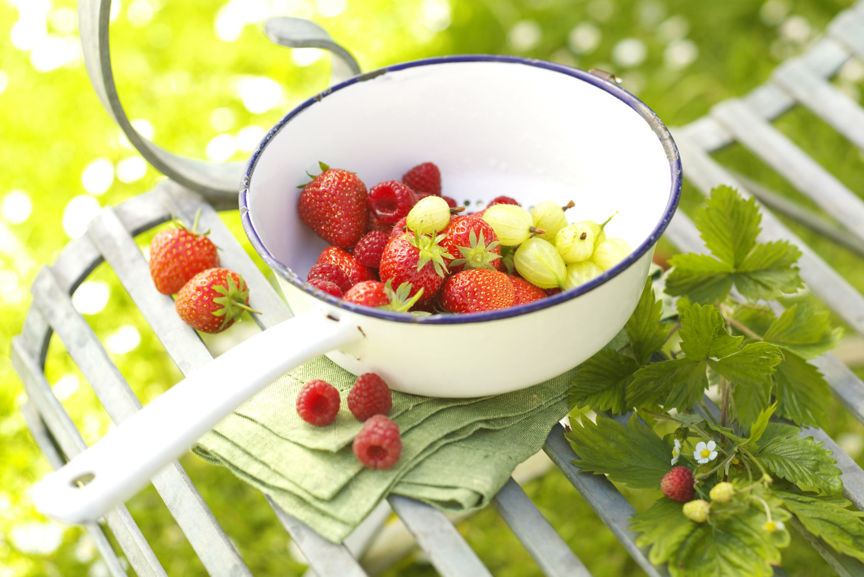 Summer fruits for food website